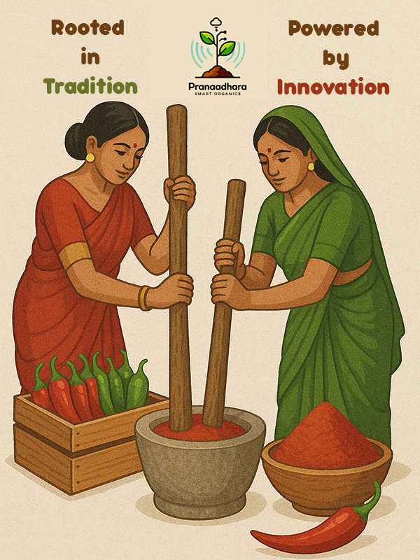 Organic Chilli Farm